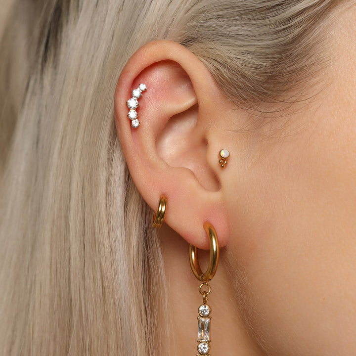 Lobe Segment Ring Piercing Doppelt