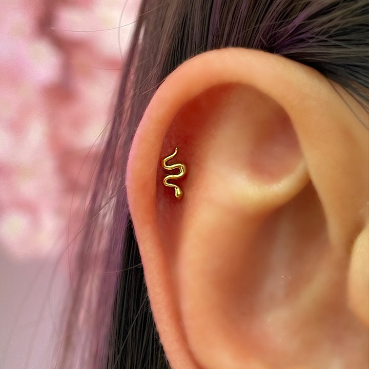 Tiny Snake Piercing | Titan